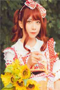 夏风吹散了旧梦小说结局