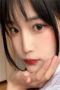 你等南风起，我等故人归最新热门小说